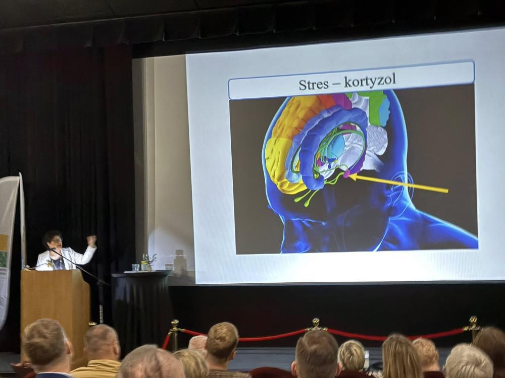 PROFILAKTYKA - NAUKA I PRAKTYKA. PROFILAKTYCZNA DZIAŁALNOŚĆ CENTRUM USŁUG SPOŁECZNYCH W RAWICZU